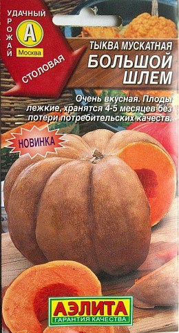 Тыква "Большой шлем" ТМ "Аэлита" 1г