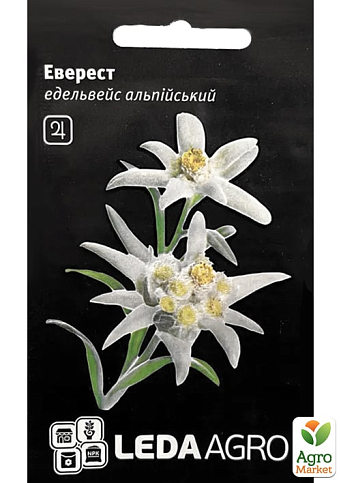 Едельвейс альпійський "Еверест" ТМ "Leda Agro" 10шт