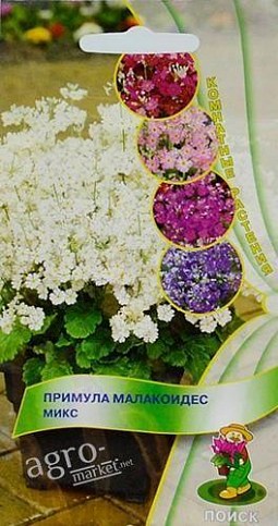 Примула "Малакоідес" ТМ "Пошук" 0.01г