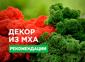 Стабілізований мох: ідеї для декору своїми руками - корисні статті про садівництво від Agro-Market