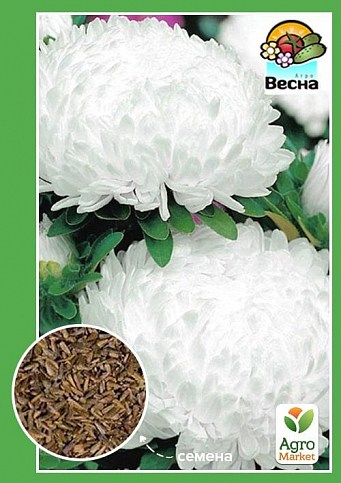 Астра "Букетная" белая ТМ "Весна" 0.2г