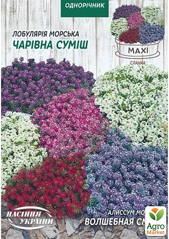 Алиссум (лобулярия) "Волшебная смесь" ТМ "Семена Украины" 0.1г