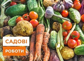 Садові роботи жовтня: важливі справи до перших заморозків - корисні статті про садівництво від Agro-Market