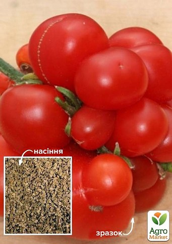 Томат "Часниковий" ТМ "Весна" 100г