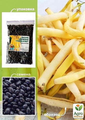 Квасоля спаржева "Грибний аромат" ТМ "Весна" 100г