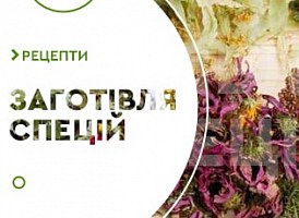 Заготівля пряних трав - корисні статті про садівництво від Agro-Market