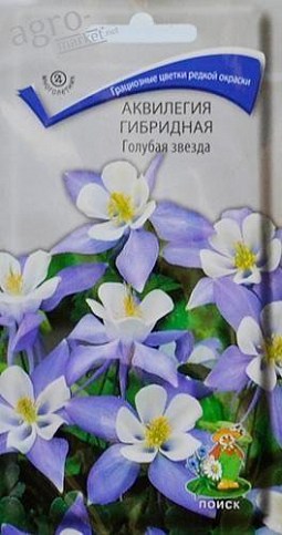 Аквілегія "Блакитна зірка" ТМ "Пошук" 0.05г