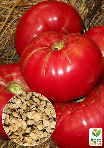 На развес Томат "Салатный деликатес" ТМ "Весна" цена за 1г