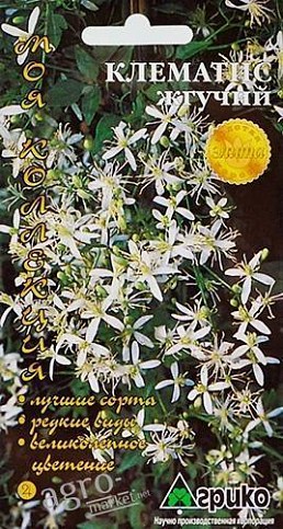 Клематис "Пекучий" ТМ "Агріко" 3шт