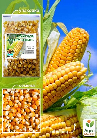 Кукурудза "Захват кухаря" ТМ "Весна" 100г