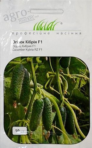 Огірок "Кібріт F1" ТМ "Hem Zaden" 10шт