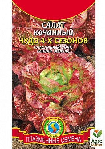 Салат "Чудо 4-х сезонов" ТМ "Плазменные семена" 0,5г