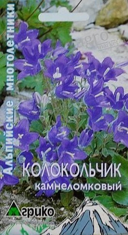 Колокольчик "Камнеломковый" ТМ "Агрико"