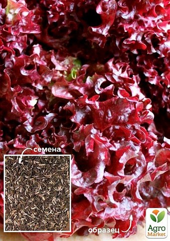 Салат "Червона куля" ТМ "Весна" 500г