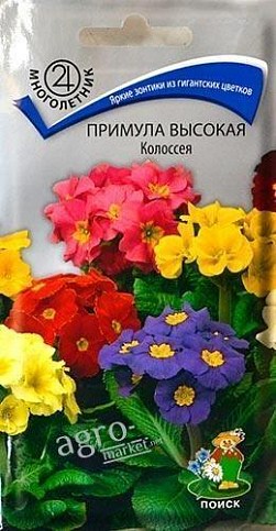 Примула высокая "Колоссея" ТМ "Поиск" 0.05г
