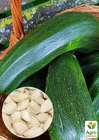 На развес Кабачок "Фараон" ТМ "Весна" цена за 8г