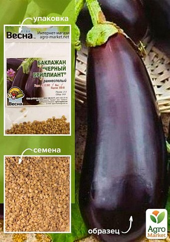 Баклажан "Черный бриллиант" (Зипер) ТМ "Весна" 1г