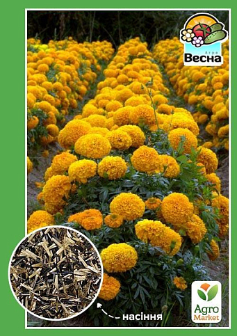 Бархатцы "Высокорослые" ТМ "Весна" 0.3г