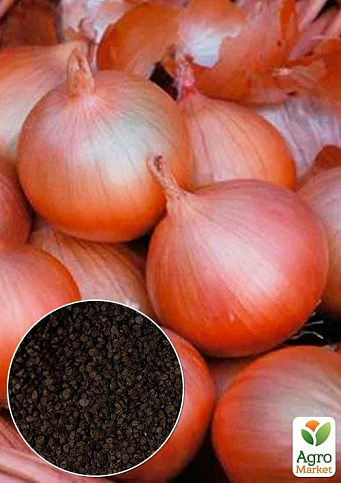 На вагу Цибуля  "Марковська" ТМ "Весна" ціна за 5г