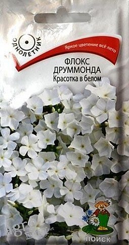 Флокс друммонда "Красотка в белом" ТМ "Поиск" 0.1г
