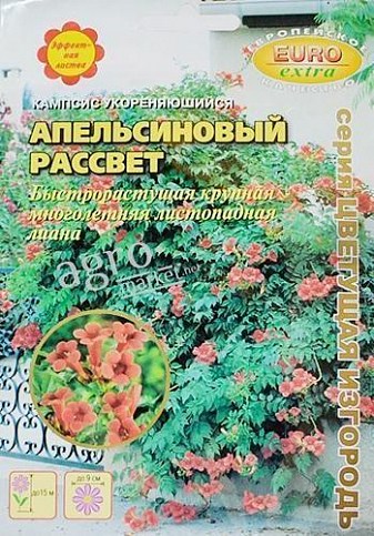 Кампсис вкорінюється "Апельсиновий світанок" ТМ "Аеліта" 0.05г