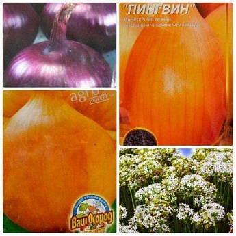 Комплект семян лук "Витаминный" 5уп 