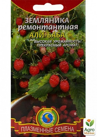 Земляника ремонтантная "Али-баба" ТМ "Плазменные семена"0,04г