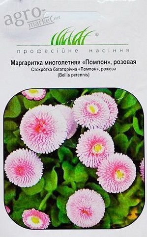 Маргаритка "Помпон рожева" ТМ "Hem Zaden" 0.01г