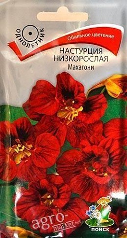 Настурция низкорослая "Махагони" ТМ "Поиск" 1г