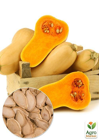 На вагу Гарбуз "Арабатський" ТМ "Весна" ціна за 10г