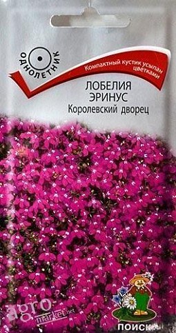 Лобелія ерінус "Королівський палац" ТМ "Пошук" 0.1г