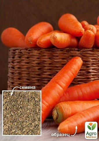 Морковь "Царица полей" ТМ "Весна" 100г