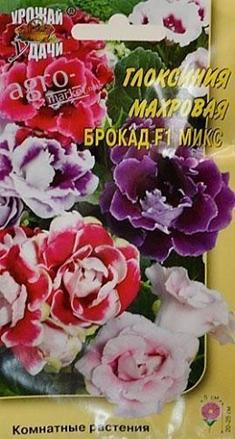 Глоксиния махровая "Брокад F1 микс" ТМ "Урожай у дачи" 3шт