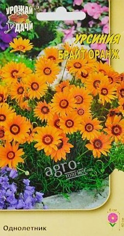 Урсиния "Брайт оранж" ТМ "Урожай у дачи" 0.1г