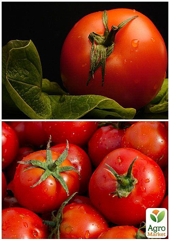 На развес Томат "Сверхранний" ТМ "Весна" цена за 2г - фото 3