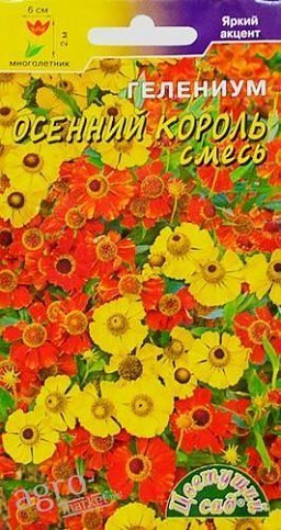 Геленіум "Осінній король" ТМ "Квітучий сад"