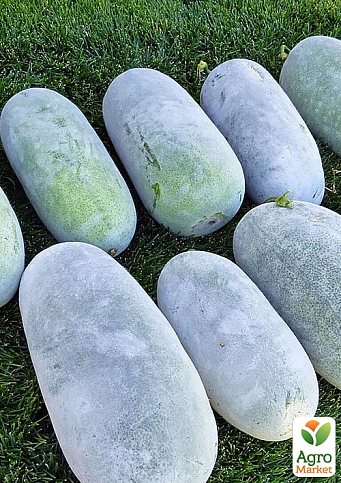 Бенинказа "Гигантский воск" ТМ "Vesna Select" 10шт