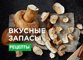 Як сушити білі гриби - корисні статті про садівництво від Agro-Market