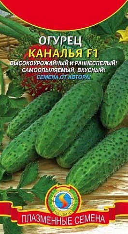 Огірок "Каналья F1" ТМ "Плазмові насіння" 10шт