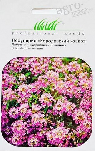 Лобулярия "Королевский ковер" ТМ "Hem Zaden" 0.1г