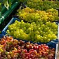 Виноград столовый (микс сортов) уценка