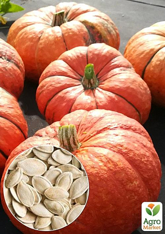На развес Тыква "Зимний деликатес" ТМ "Весна" цена за 10г
