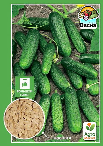 Огірок "Тітус F1" (Великий пакет) ТМ "Весна" 1.5г