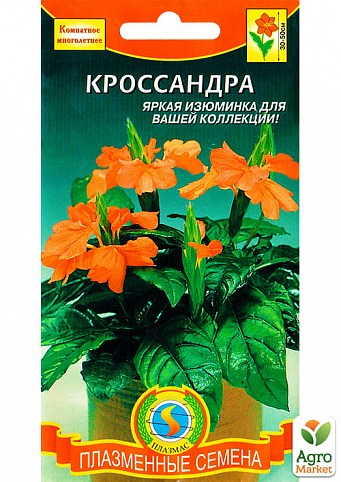 Кроссандра ТМ "Плазменные семена" 2шт NEW
