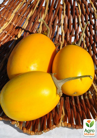 Баклажан "Турецкий оранжевый" ТМ "Vesna Select" 20шт