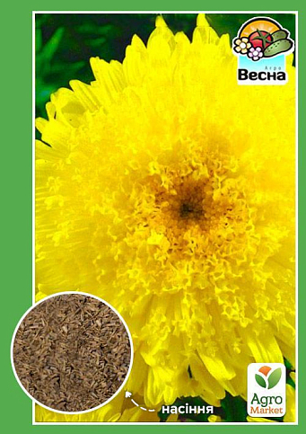 Астра "Корина" ТМ "Весна" 0.2г