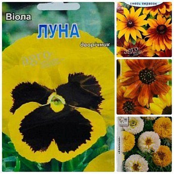 Комплект семян цветов "Лучики солнца" 5уп