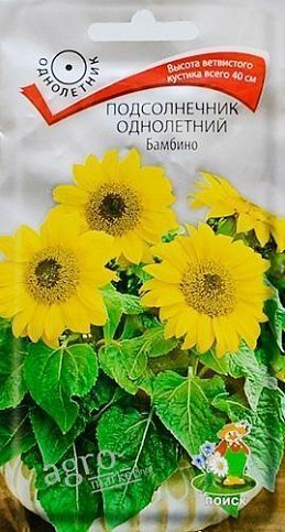 Подсолнечник "Бамбино" ТМ "Поиск" 0.5г