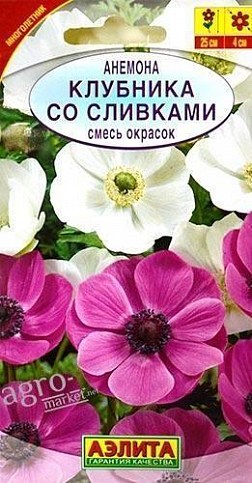 Анемона "Полуниця з вершками" суміш забарвлень ТМ "Аеліта" 0.05г