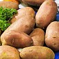 Семенной среднепоздний картофель "Фабула" (на варку, 1 репродукция) 1кг